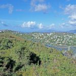 Community Solar Farm - a scenic view of a city from a hill