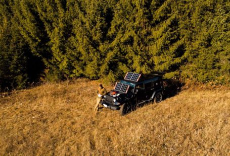 Portable Solar Generator - a dog sitting on a truck